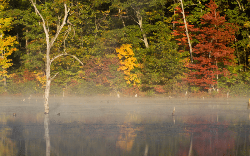 Monksville Reservoir