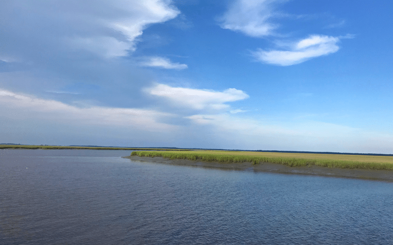 Ogeechee River