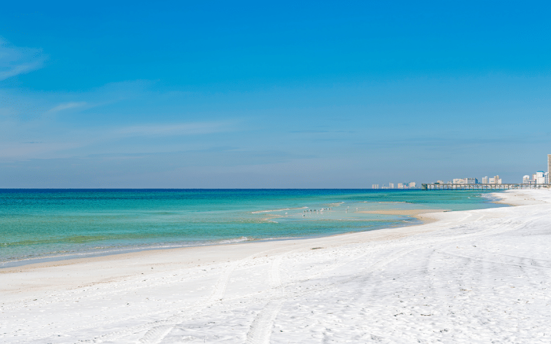 Shell Island