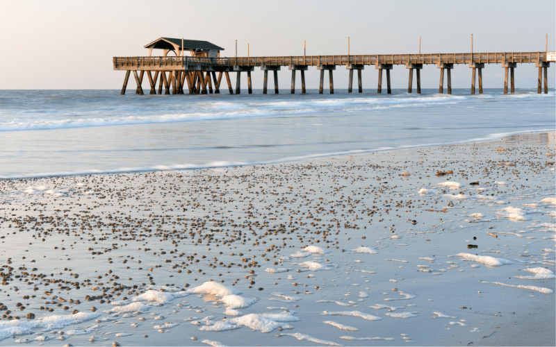 Tybee Island Back River