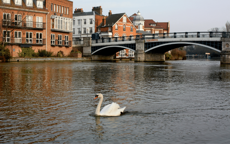 Windsor Riverside