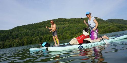 How to Paddle Board with Your Dog: A Guide to Safe and Fun Adventures