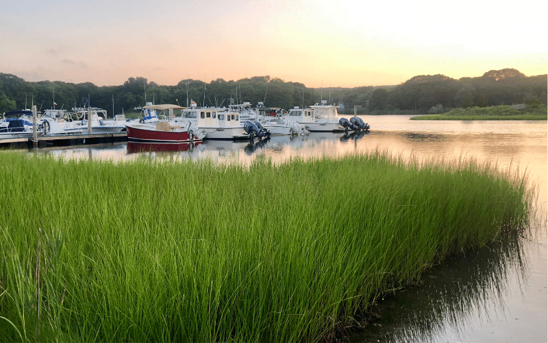 Accabonac Harbor
