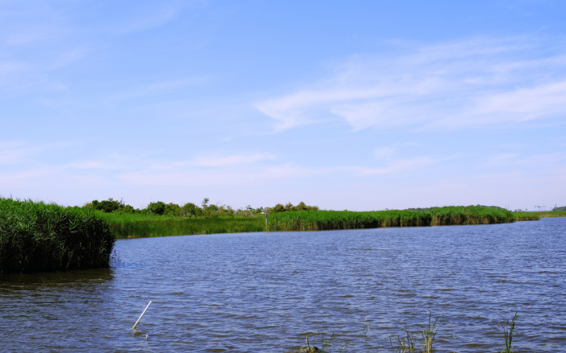 Back Bay National Wildlife Refuge Virginia