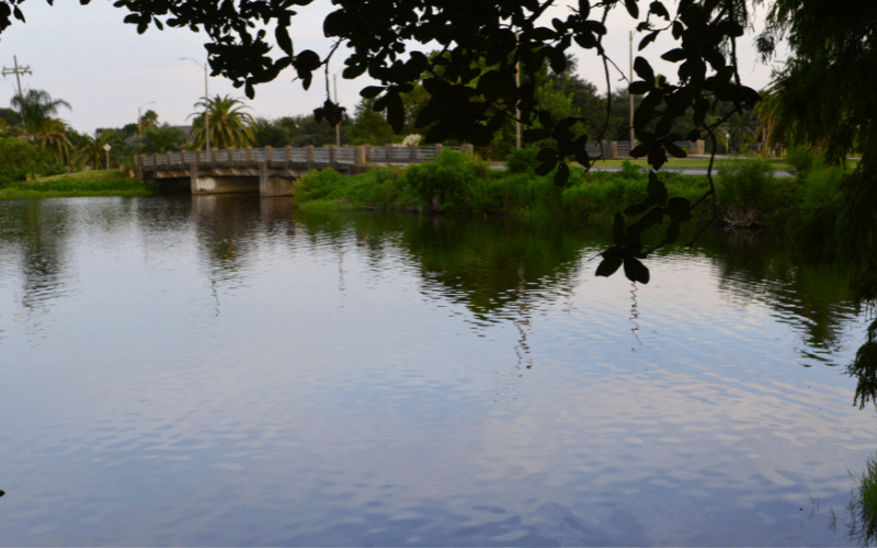 Bayou St. John