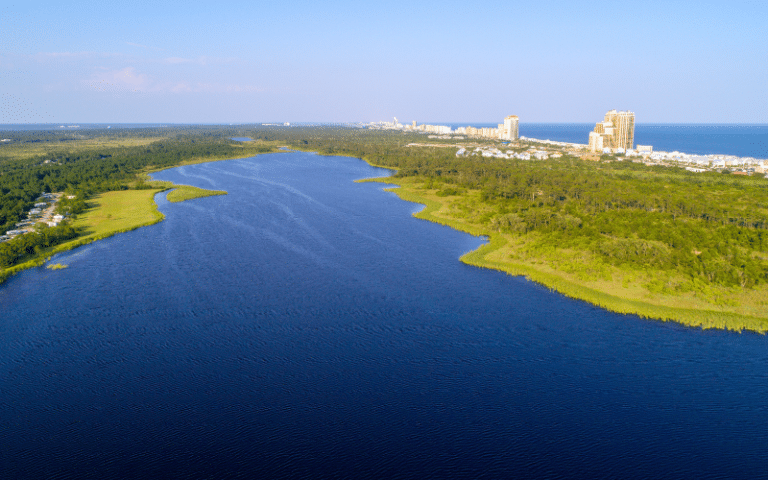 Best Places to Paddle Board in Alabama (AL)