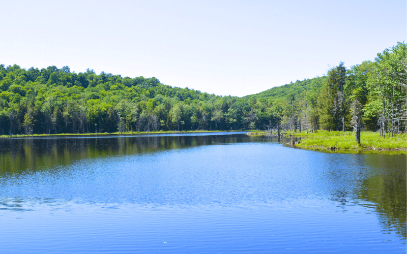 Best Places to Paddle Board in Beaver Lake, AR