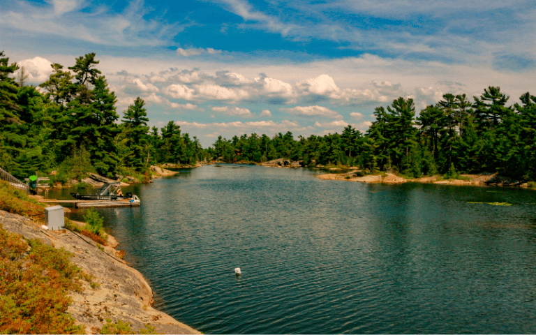 Best Places to Paddle Board in Collingwood, CAN