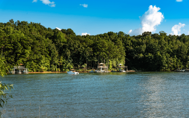 Best Places to Paddle Board in Georgia (GA)