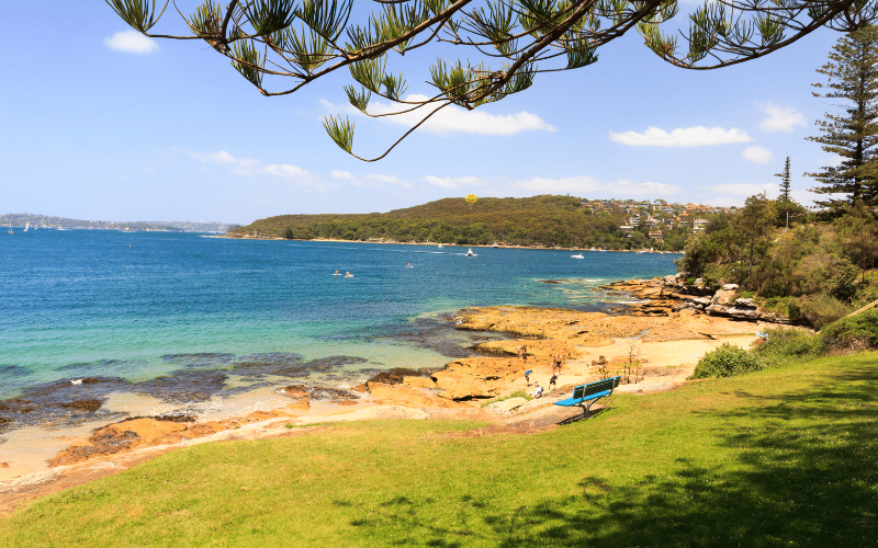 Best Places to Paddle Board in Manly, AUS