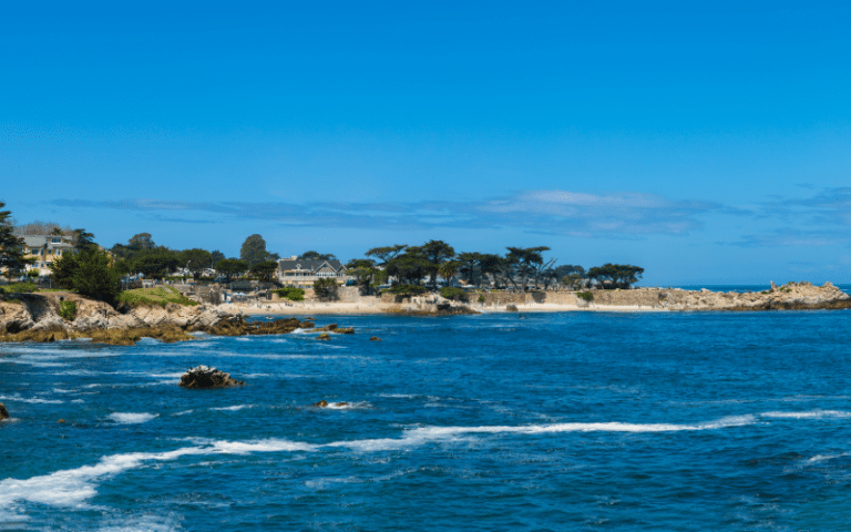 Best Places to Paddle Board in Monterey, CA