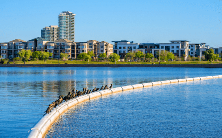 Best Places to Paddle Board in Phoenix, AZ