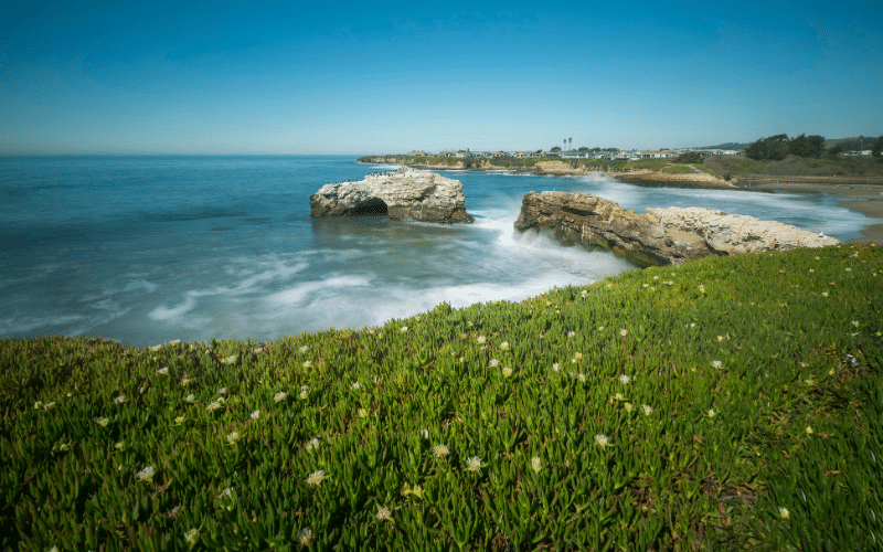 Best Places to Paddle Board in Santa Cruz, CA
