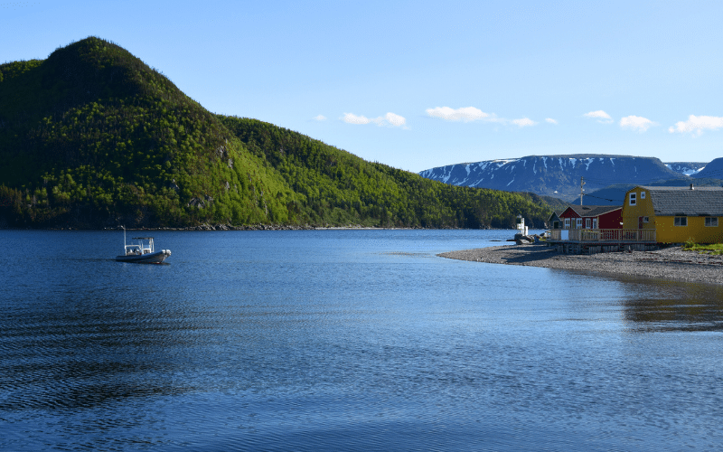 Best Places to Paddle Board in Tennessee (TN)