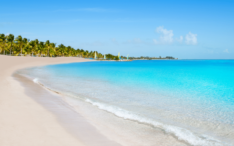 Best Places to Paddle in Key West, FL