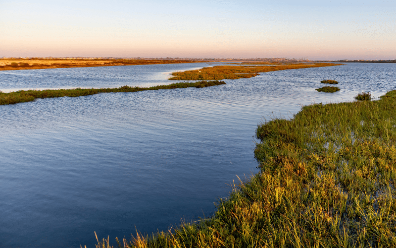 Bolsa Chica Ecological Reserve