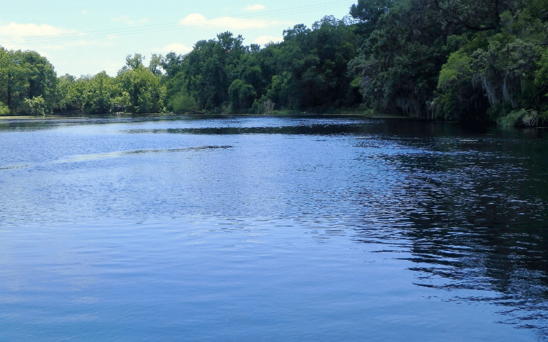 Buffalo Springs Lake