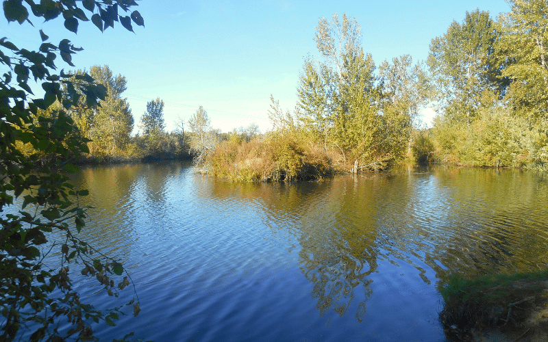 Eagle Island State Park