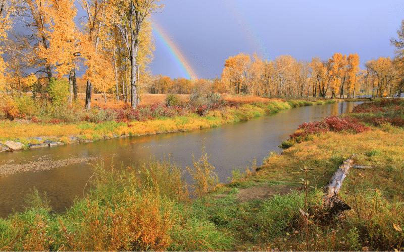 Fish Creek Provincial Park