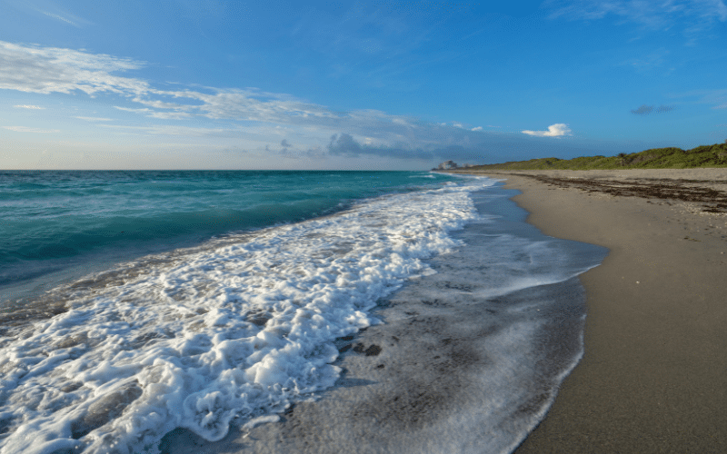 Juno Beach Park