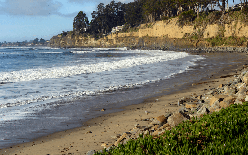 New Brighton State Beach