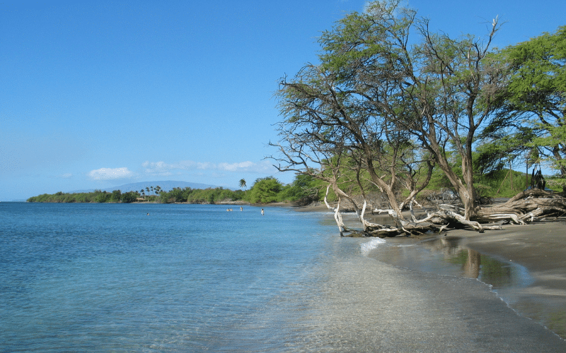 Olowalu Beach