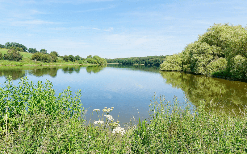Staunton Harold Reservoir