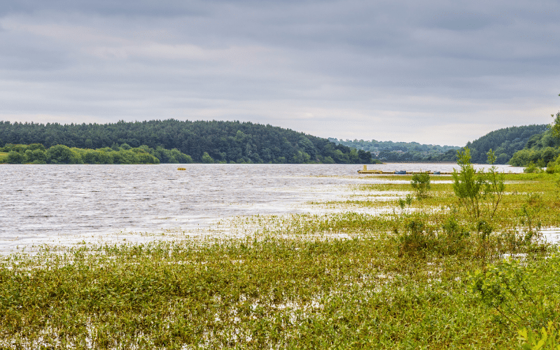 Tittesworth Reservoir