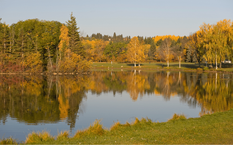 Best Places to Paddle Board in Edmonton, CAN