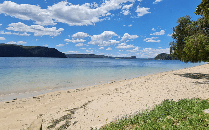 Best Places to Paddle Board in Palm Beach, AUS