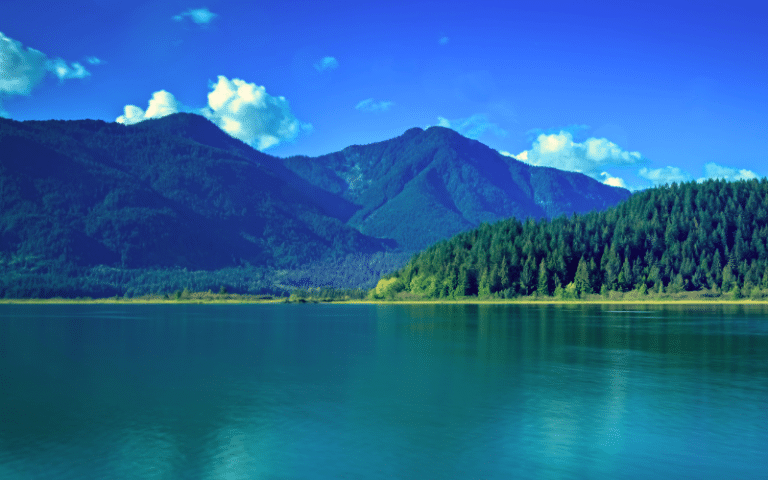 Best Places to Paddle Board in Pitt Lake, CAN