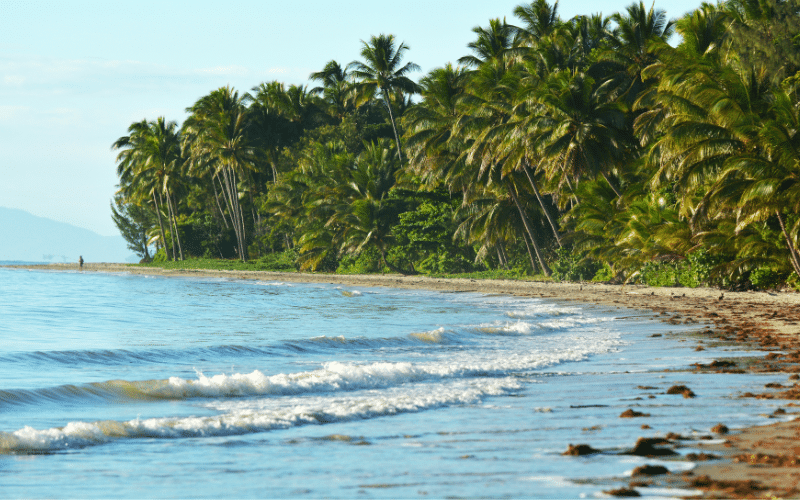 Best Places to Paddle Board in Port Douglas, AUS