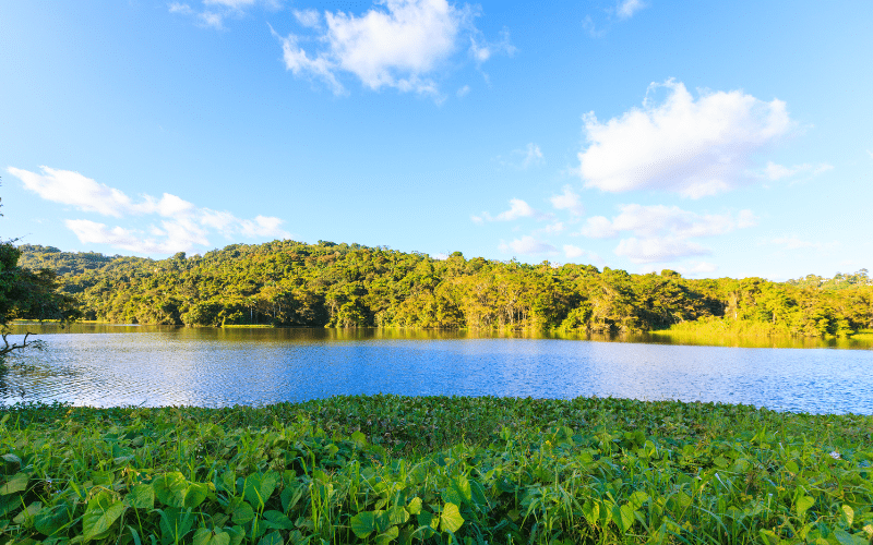 Carraizo Lake