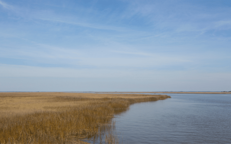 Palmetto Bluff