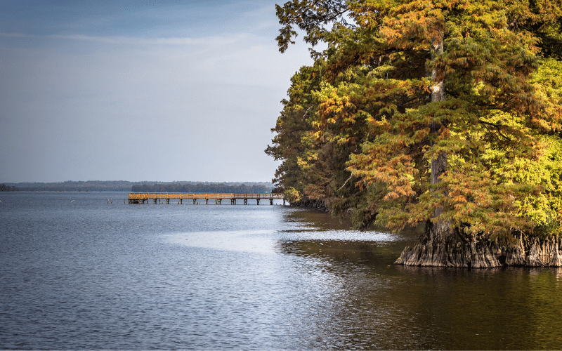 Reelfoot Lake