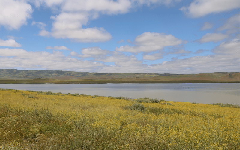 Soda Lake