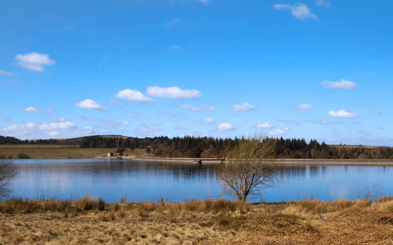 Ulley Reservoir