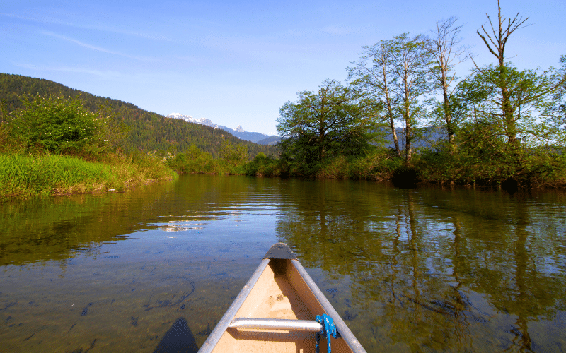 Widgeon Creek