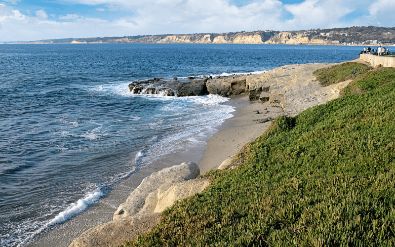 Windansea Beach