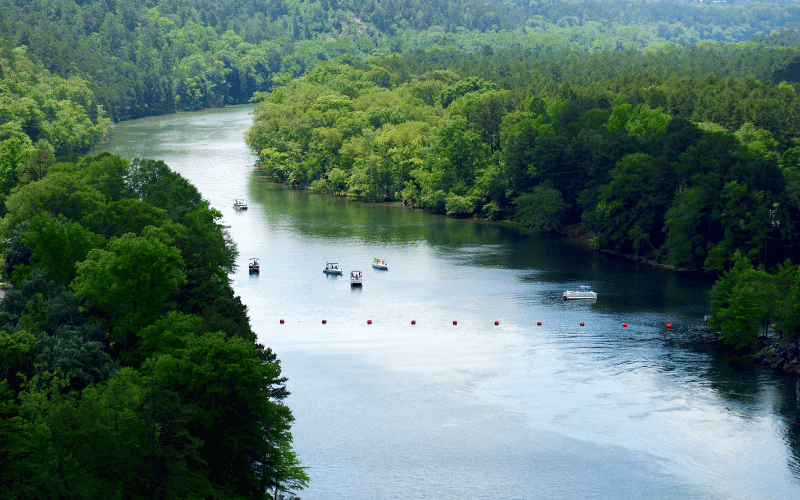 Best Places to Paddle Board in Arkansas