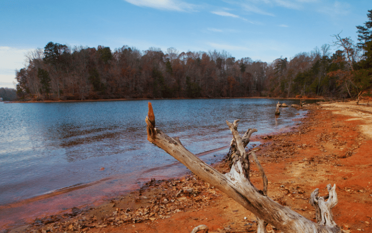 Best Places to Paddle Board in Charlotte, NC