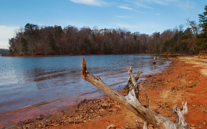 Best Places to Paddle Board in Charlotte, NC