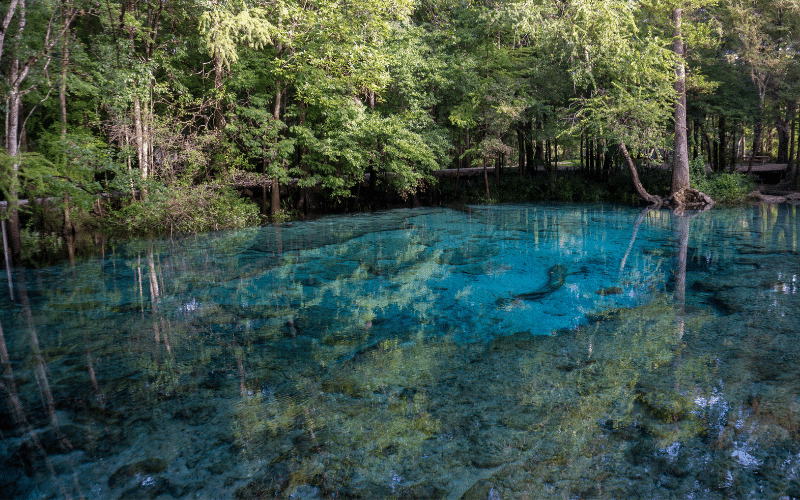 Best Places to Paddle Board in Ginnie Springs, FL