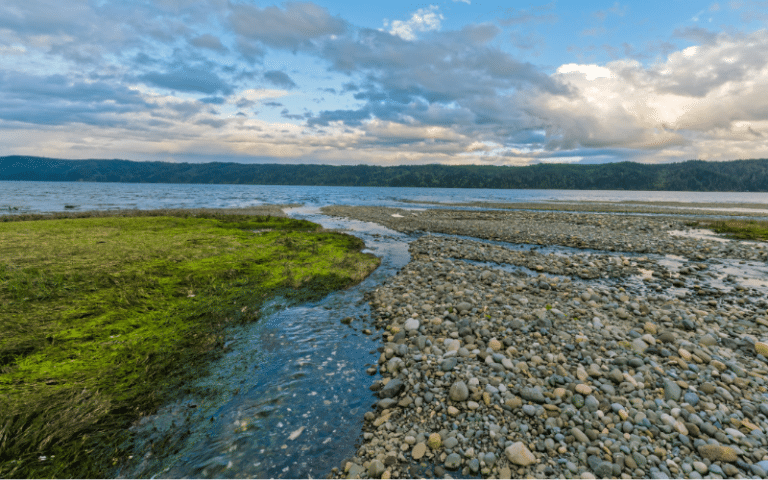 Best Places to Paddle Board in Indianapolis