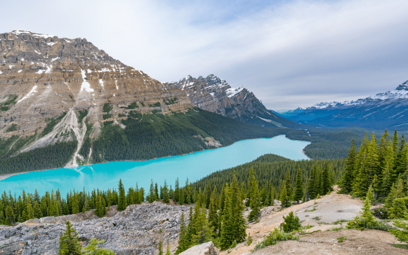 Best Places to Paddle Board in Peyto Lake, CAN