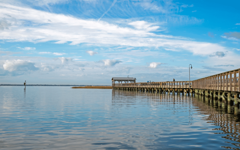 Best Places to Paddle Board in Shem Creek, SC