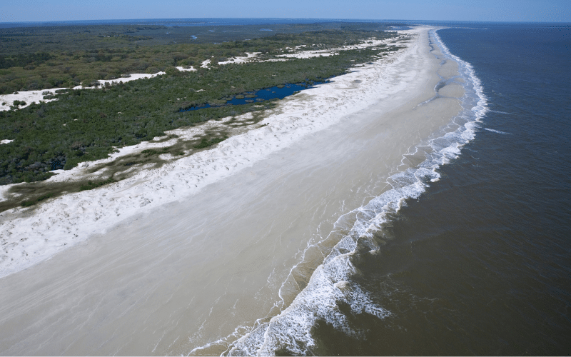 Cumberland Island National Seashore