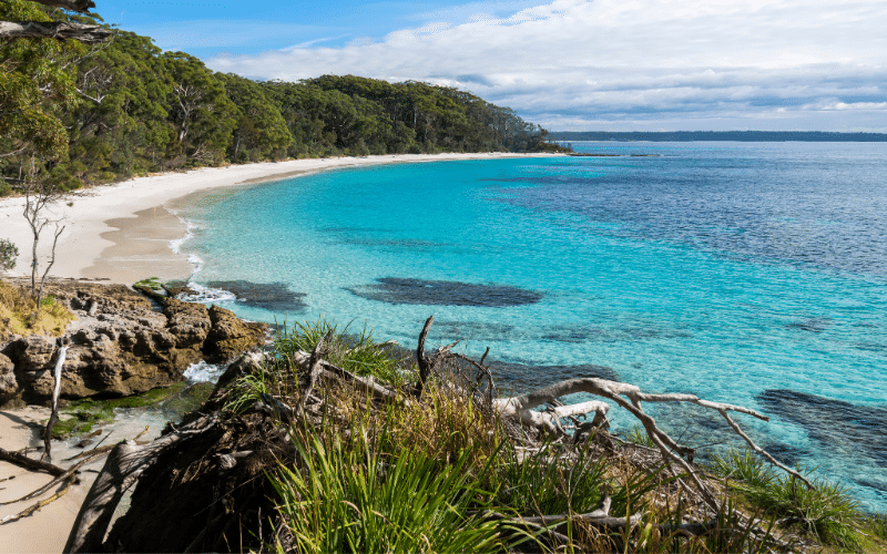 Green Patch Jervis Bay