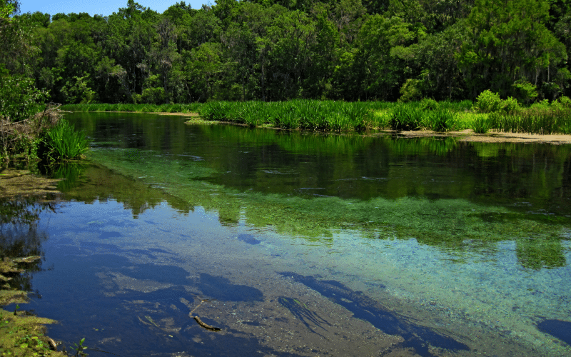 Ichetucknee River