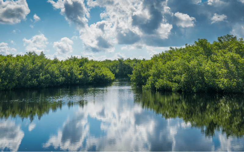 Mountain Island Lake